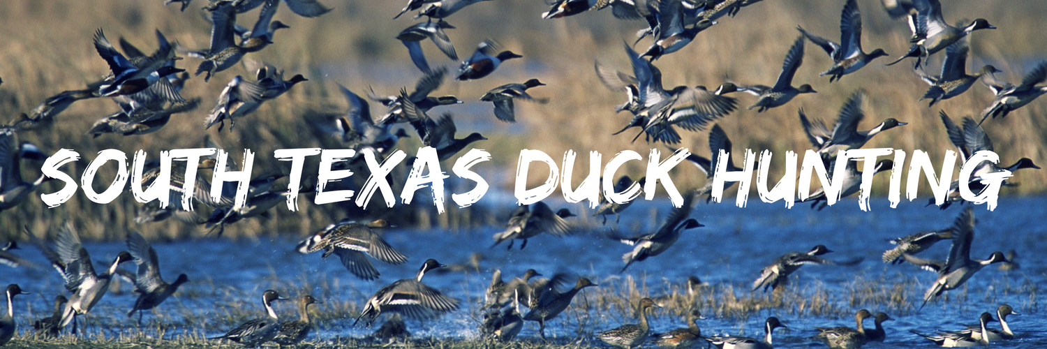 south-texas-duck-hunting