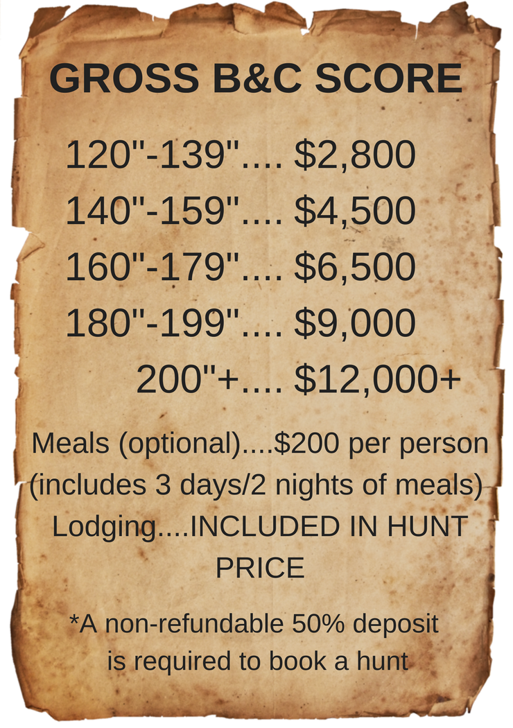 whitetail deer prices